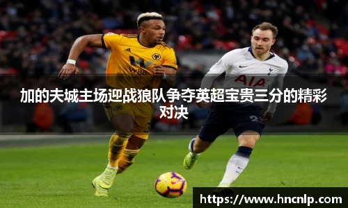 加的夫城主场迎战狼队争夺英超宝贵三分的精彩对决