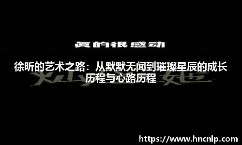徐昕的艺术之路：从默默无闻到璀璨星辰的成长历程与心路历程